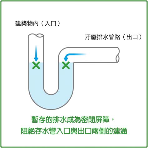 廚房排水管存水彎|什麼是存水彎？生活中不可或缺的防疫尖兵！